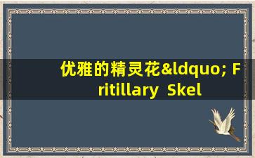 优雅的精灵花“ Fritillary  Skeleton”，春季的光荣章节，一种传统的中国草药，可滋养肺和分散结。